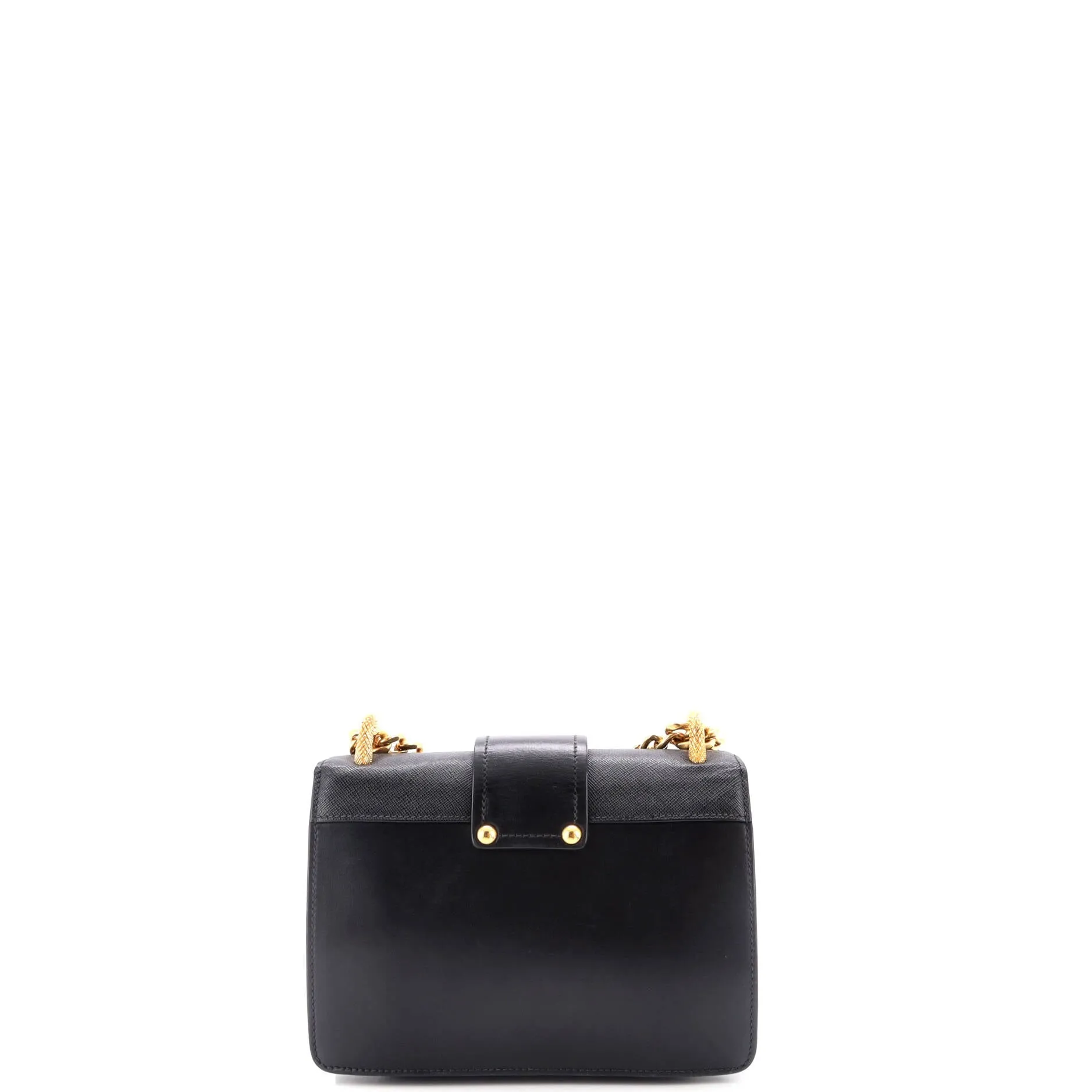 Animalier Cahier Crossbody Bag City Calf and Saffiano Small