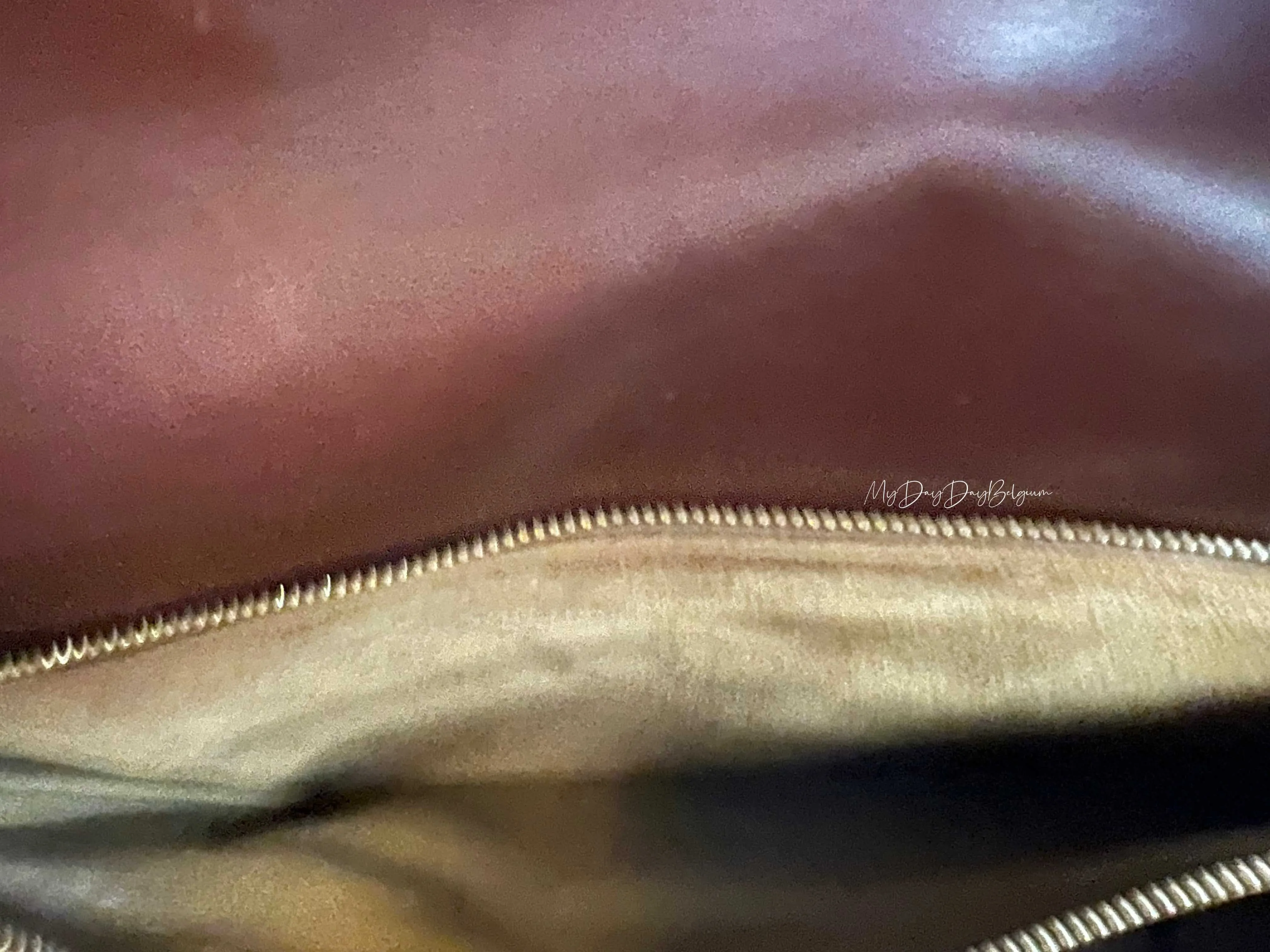 Delvaux vintage brown crossbody bag 1993