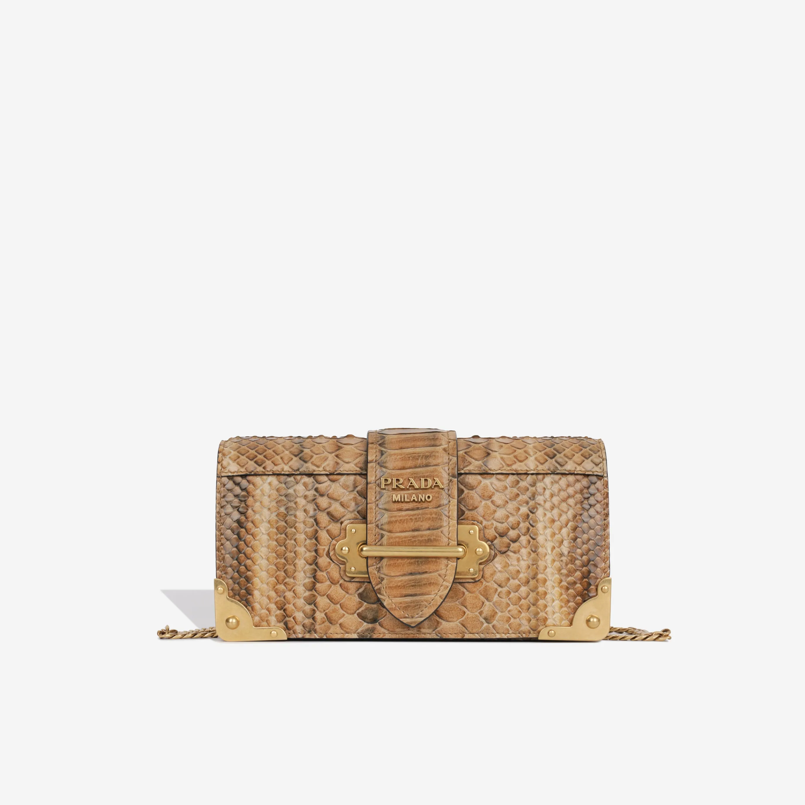 Python Cahier Clutch
